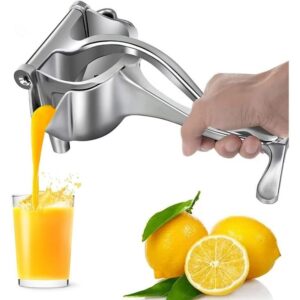 Fruit Press Juicer