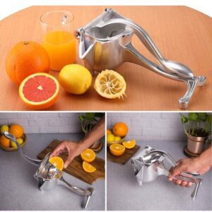 Fruit Press Juicer